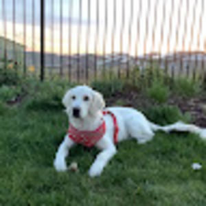 Meet your Posher, Akshaya